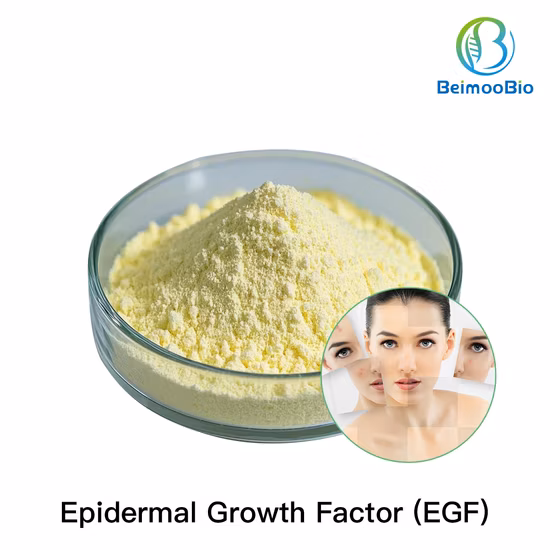 고품질 화장품 펩타이드 Eyeliss Dipeptide-2 H-VAL-Trp-Oh 파우더 CAS 24587-37-9